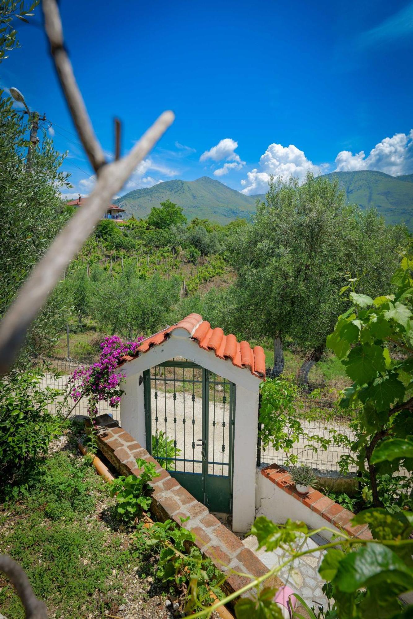 Shena The Farm Boutique Otel Mesopotam Dış mekan fotoğraf