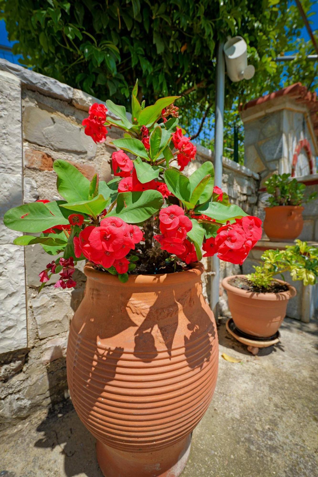 Shena The Farm Boutique Otel Mesopotam Dış mekan fotoğraf